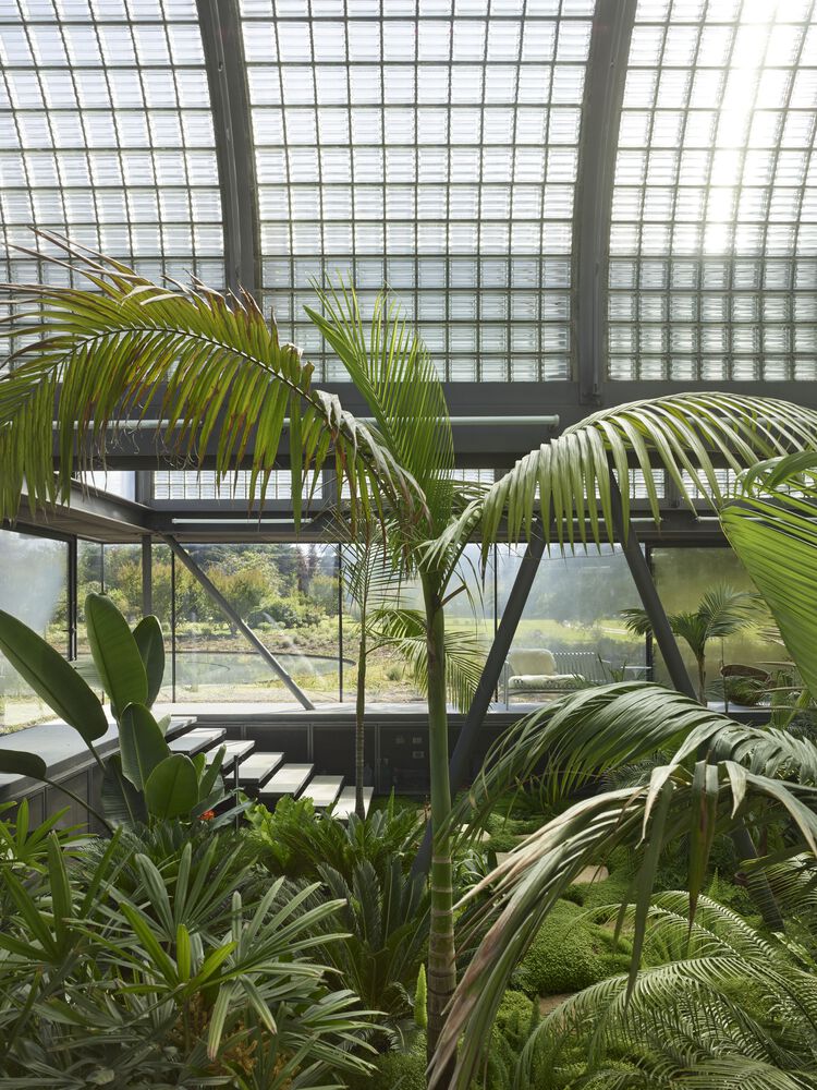 Casa de vidrio | Max Núñez